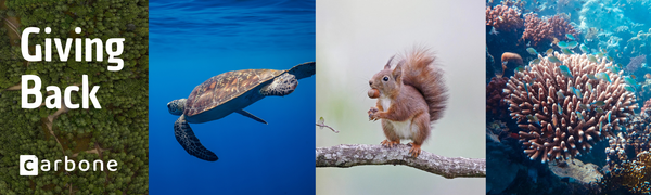 2025 Donation: 2% of Revenue for the Environment, Education and Open-Source.